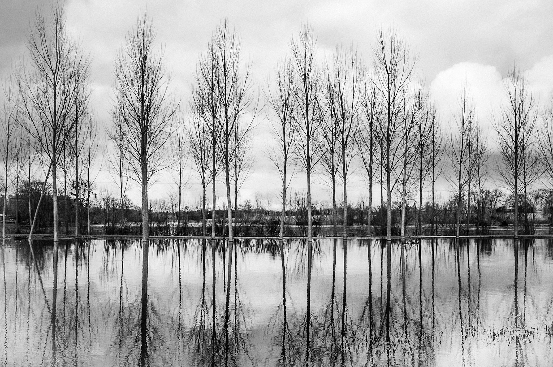 FujifilmX100-Tonnay-Boutonne-Reflets dans le débordement de la Boutonne