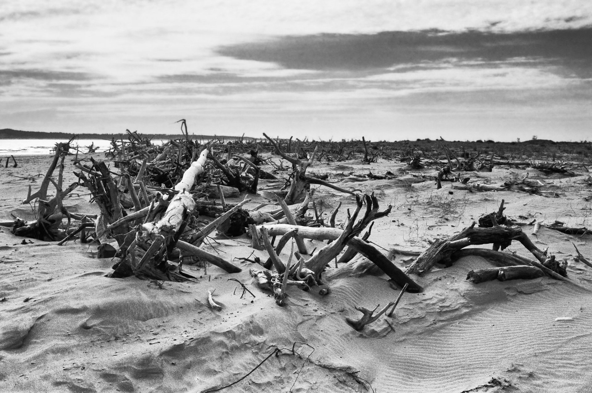 📷 Nikon F100 - Pointe de Gatseau - Après la tempête Domingos