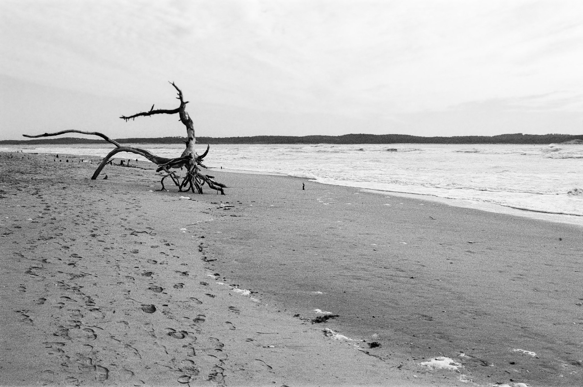 Nikon F100 - Pointe de Gatseau - Avec élégance