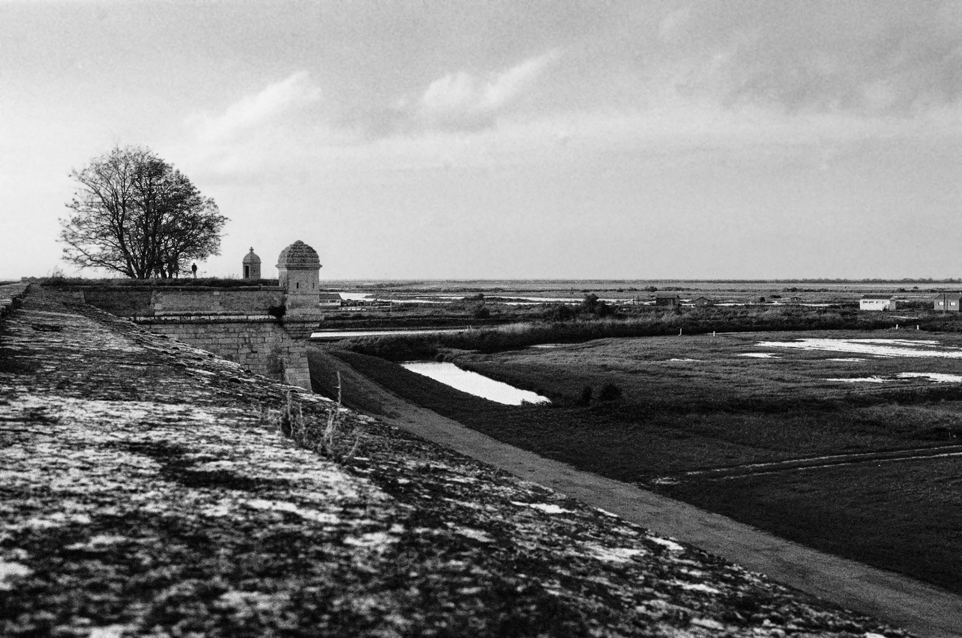 Nikon F100 | Brouage - Les remparts - Auprès de mon arbre...