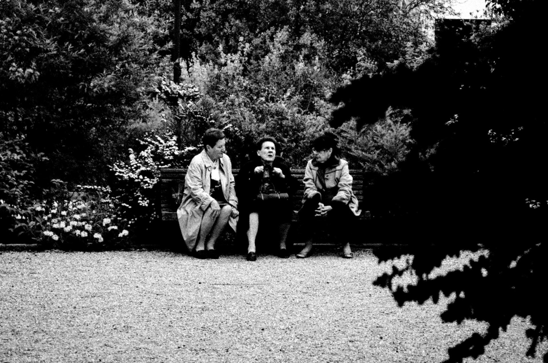 Nikon D70 | Paris - Parc Georges Brassens - A l'écoute...