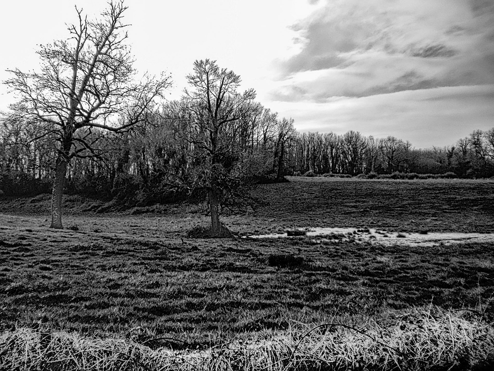 Nikon Coolpix S225 | Archingeay - Protection