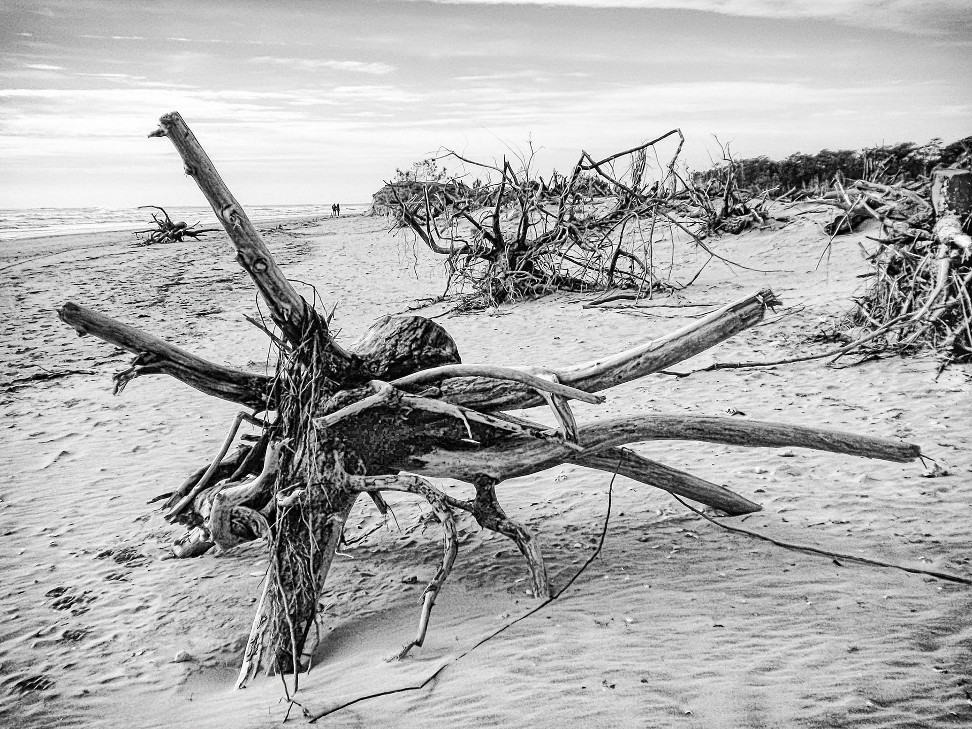Nikon Coolpix S225 | Pointe de Gatseau - Après la tempête Domingos