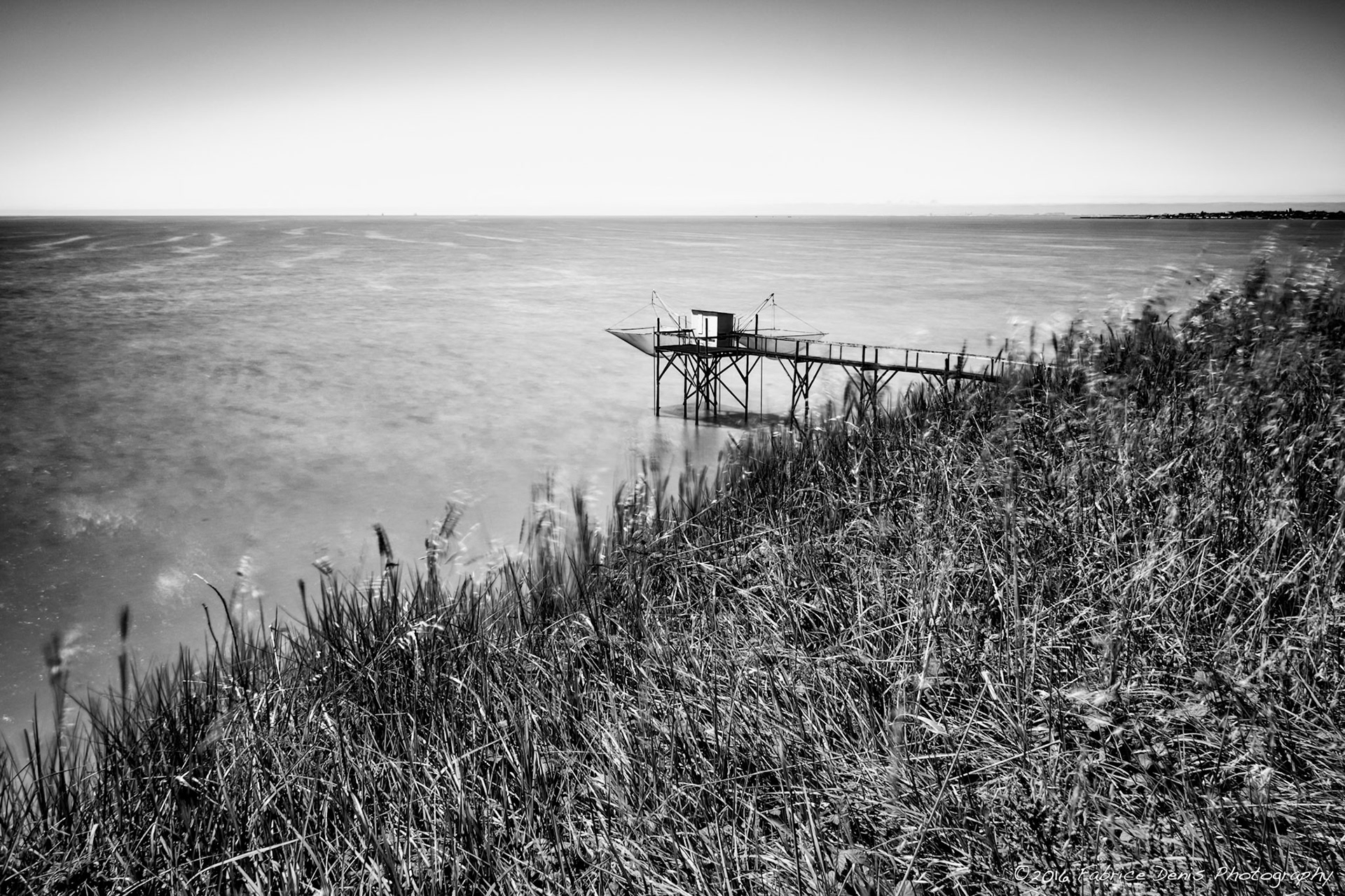 Fujifilm X-Pro1 | Carrelet dans la Réserve naturelle nationale du marais d'Yves - Herbes dans le vent...