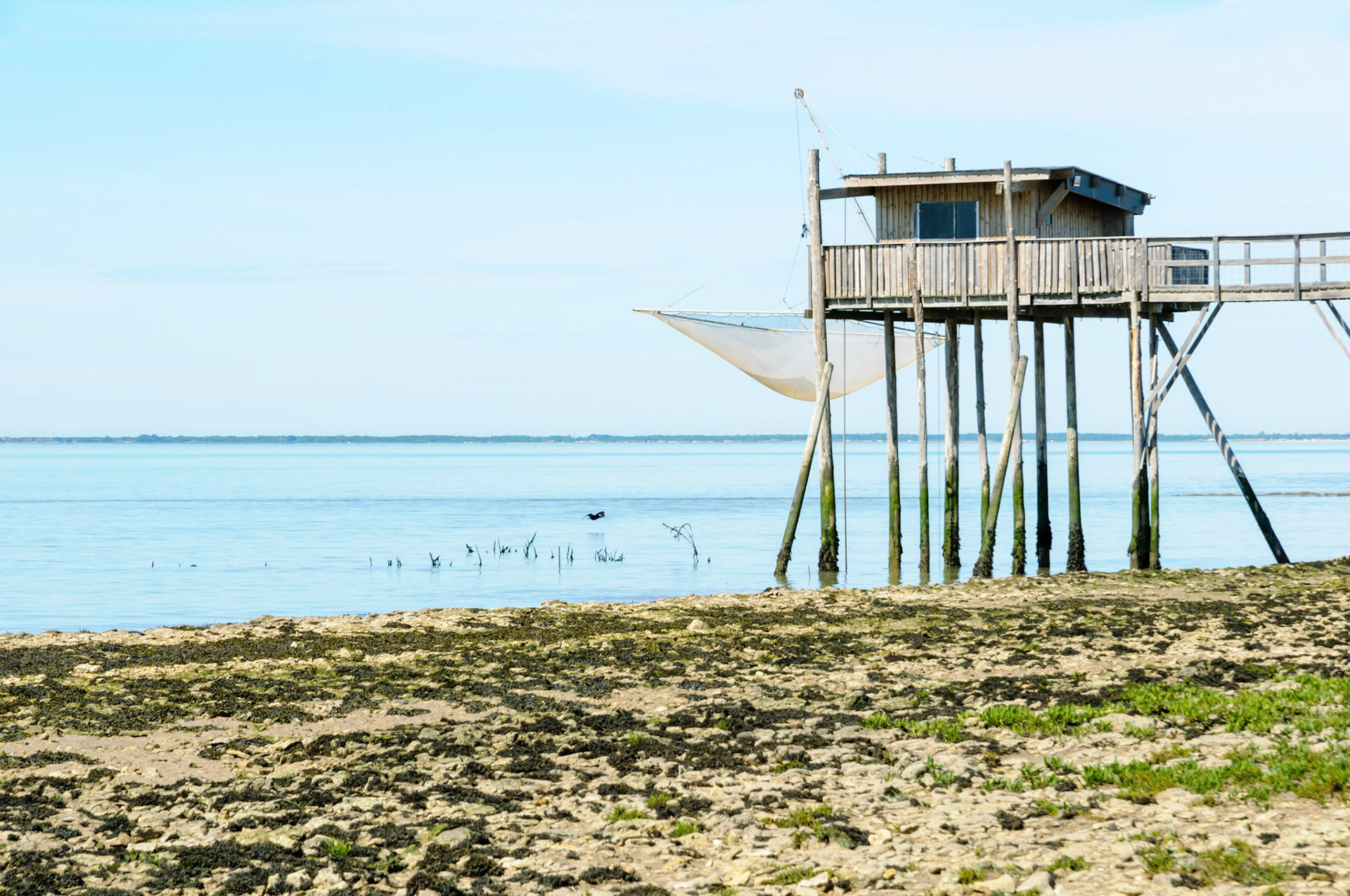 Nikon D300s | Ile Madame - Les cabanes de pêcheurs - Sur les pieux