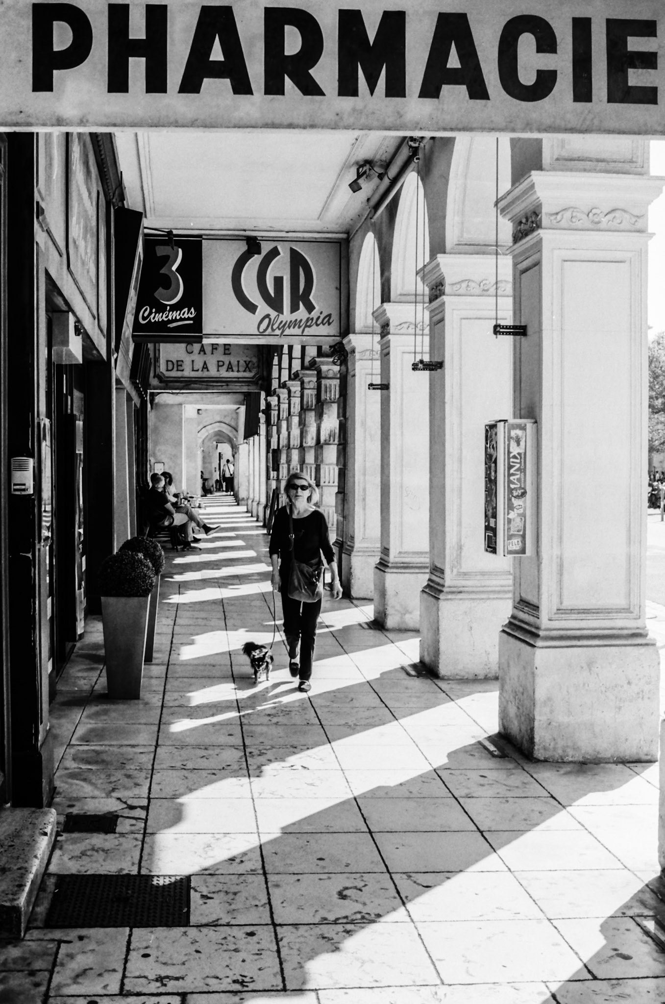 Nikon F100 | La Rochelle - Rue Chaudrier - Dans le raie de lumière