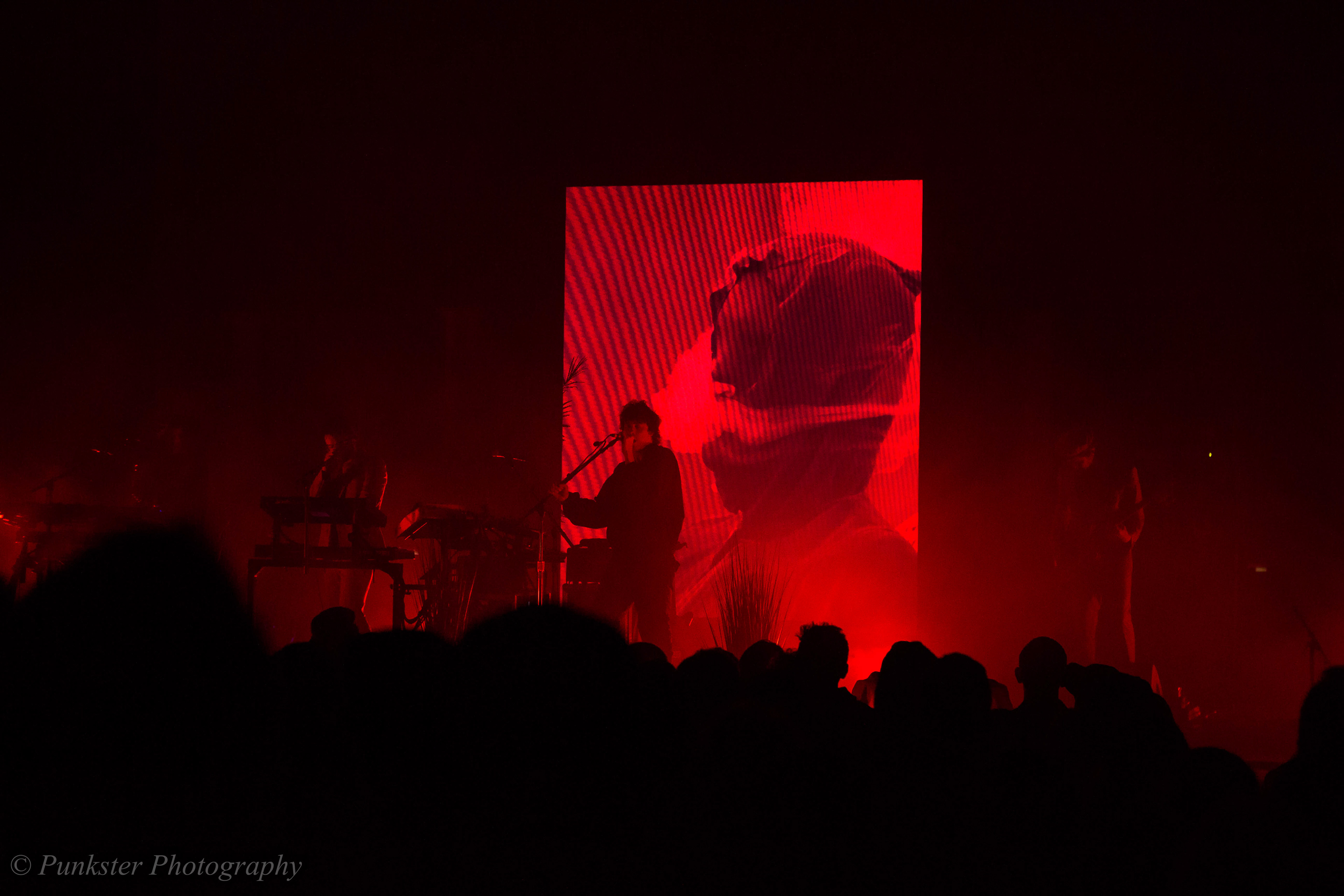 MGMT