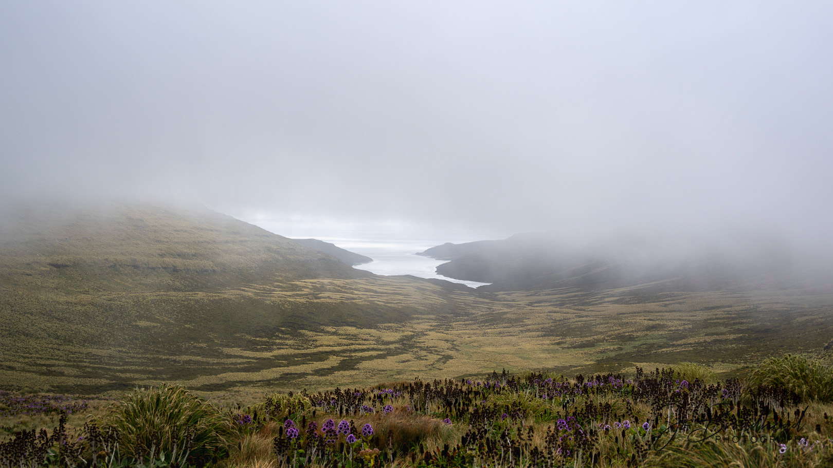 Campbell Is shrouded in mist