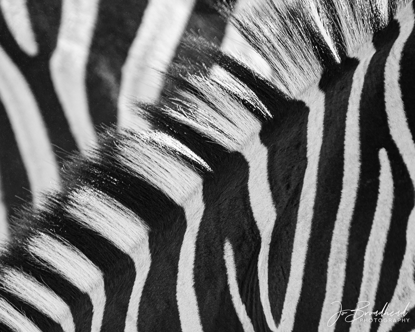 Manley Abstract