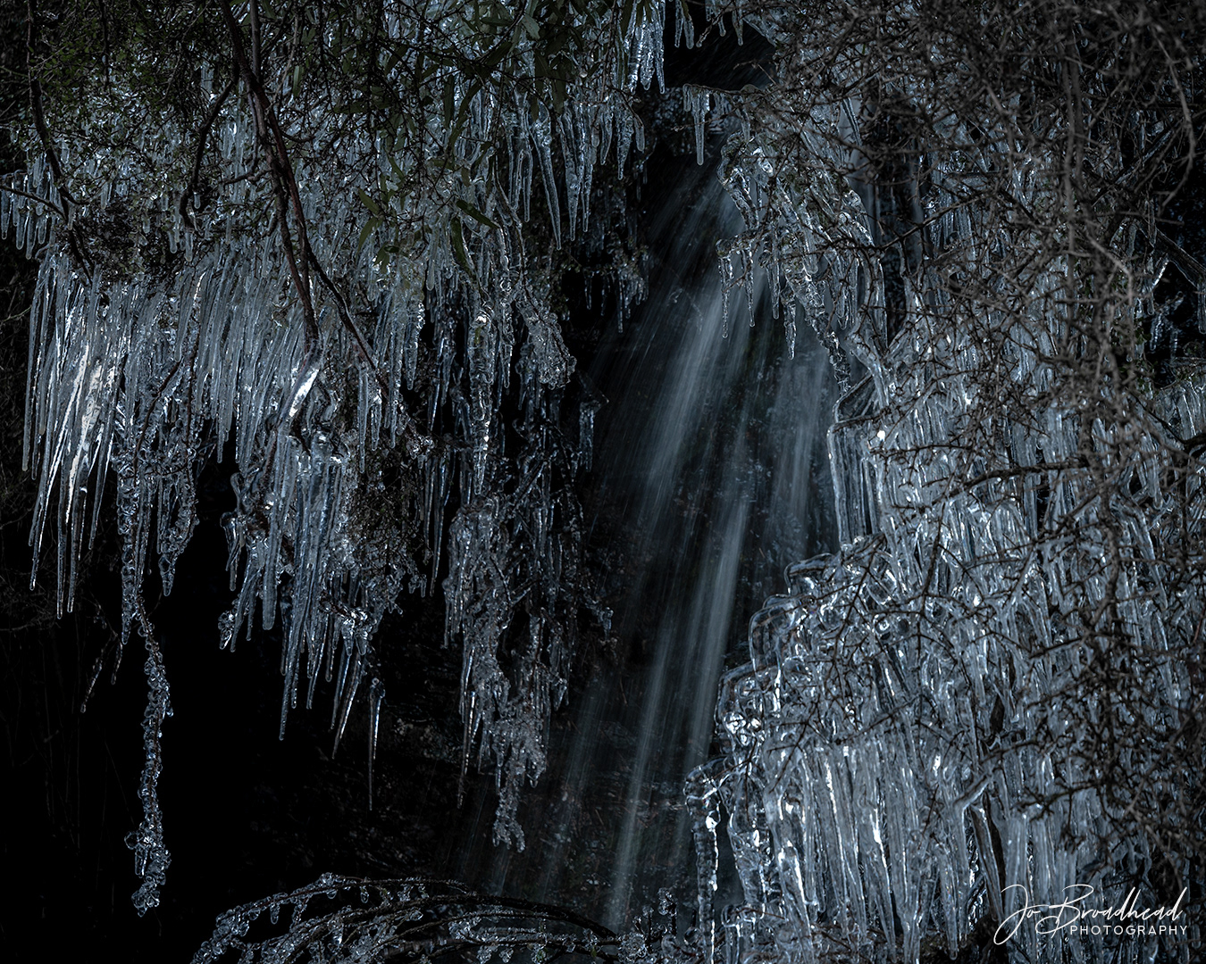 Bejewelled - Central Otago, NZ