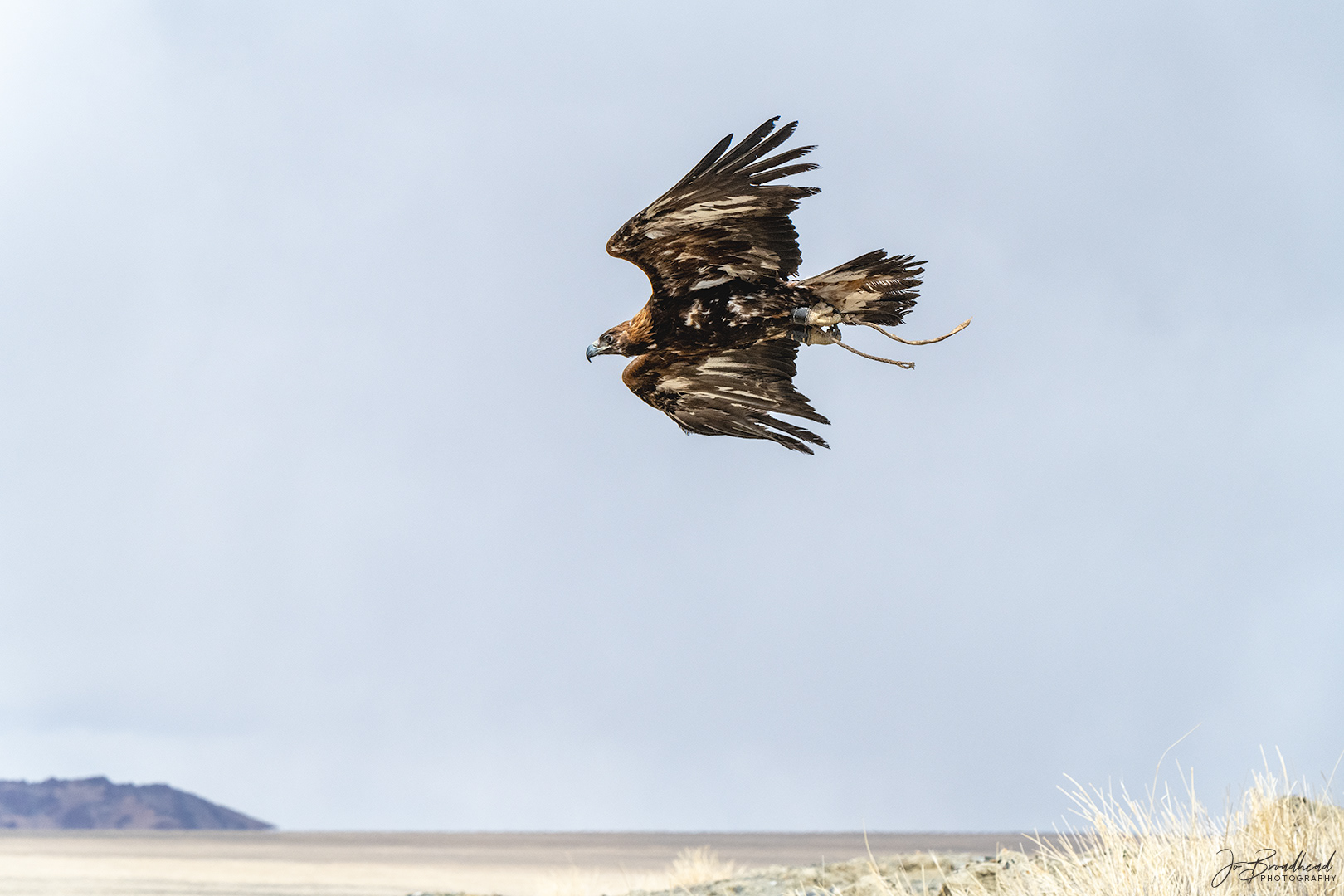 On Target - Mongolia