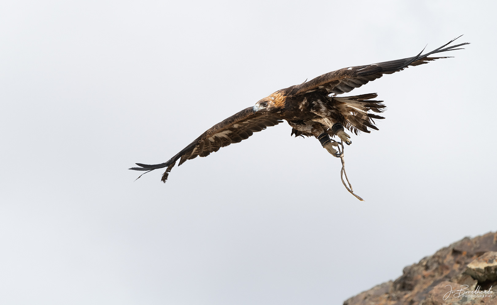 In Flight - Mongolia