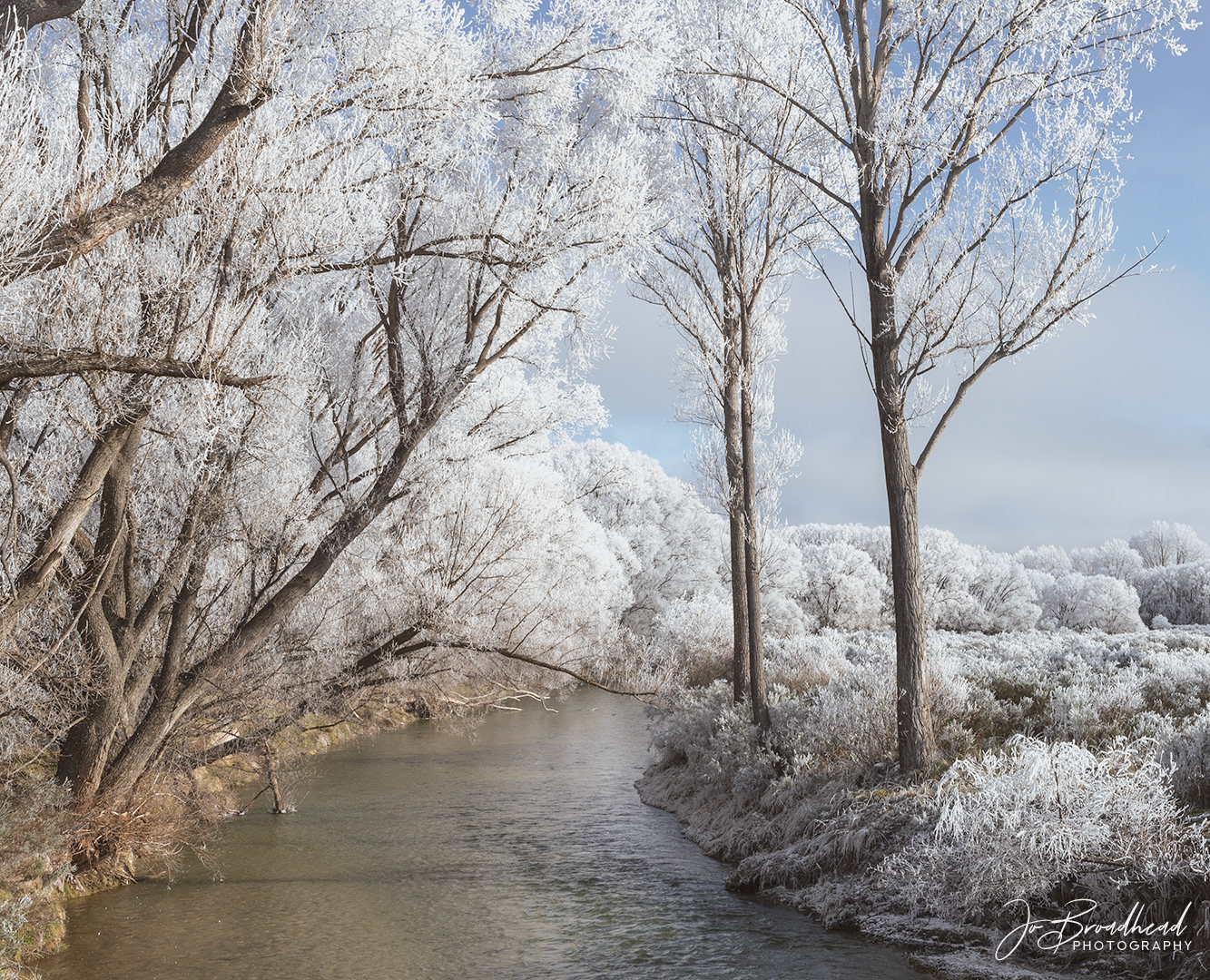 Hoar Frost - Central Otago, NZ