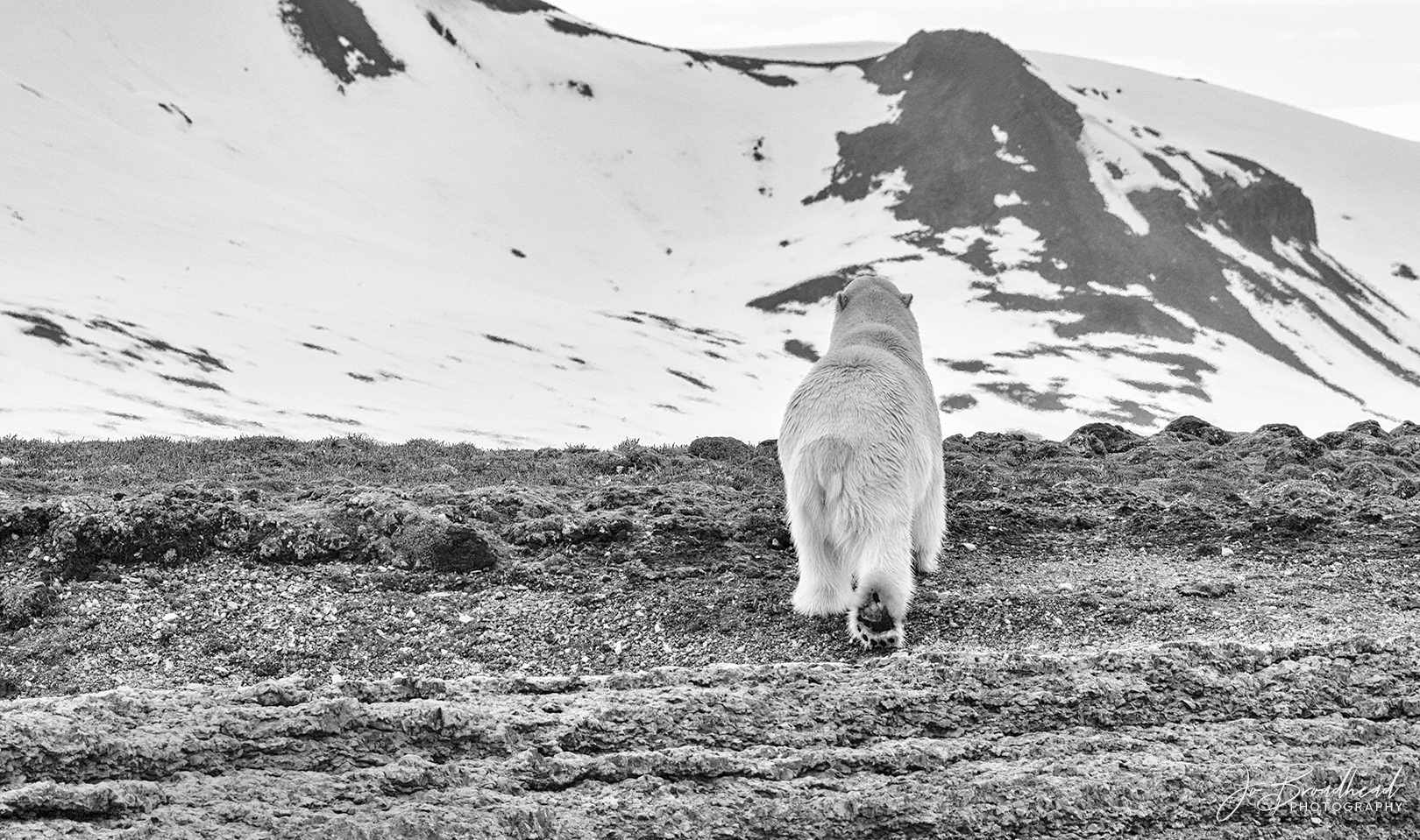 Heading North - Svalbard