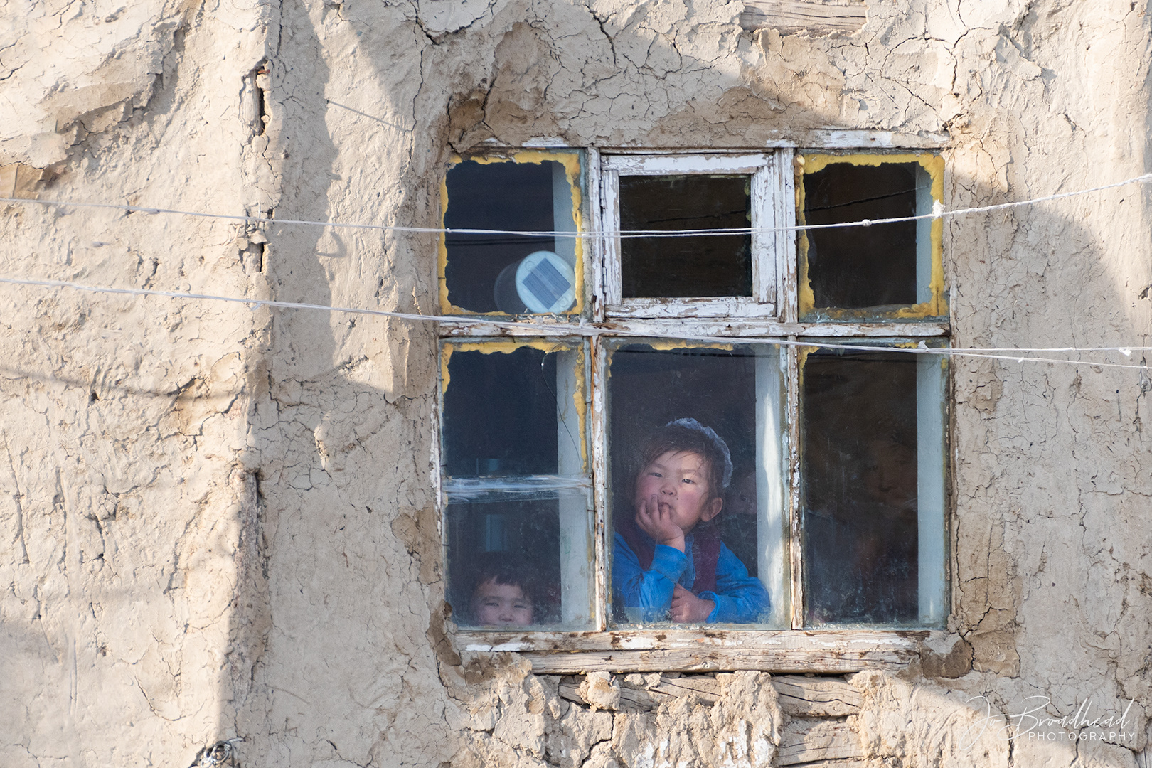 What's Going On? - Mongolia