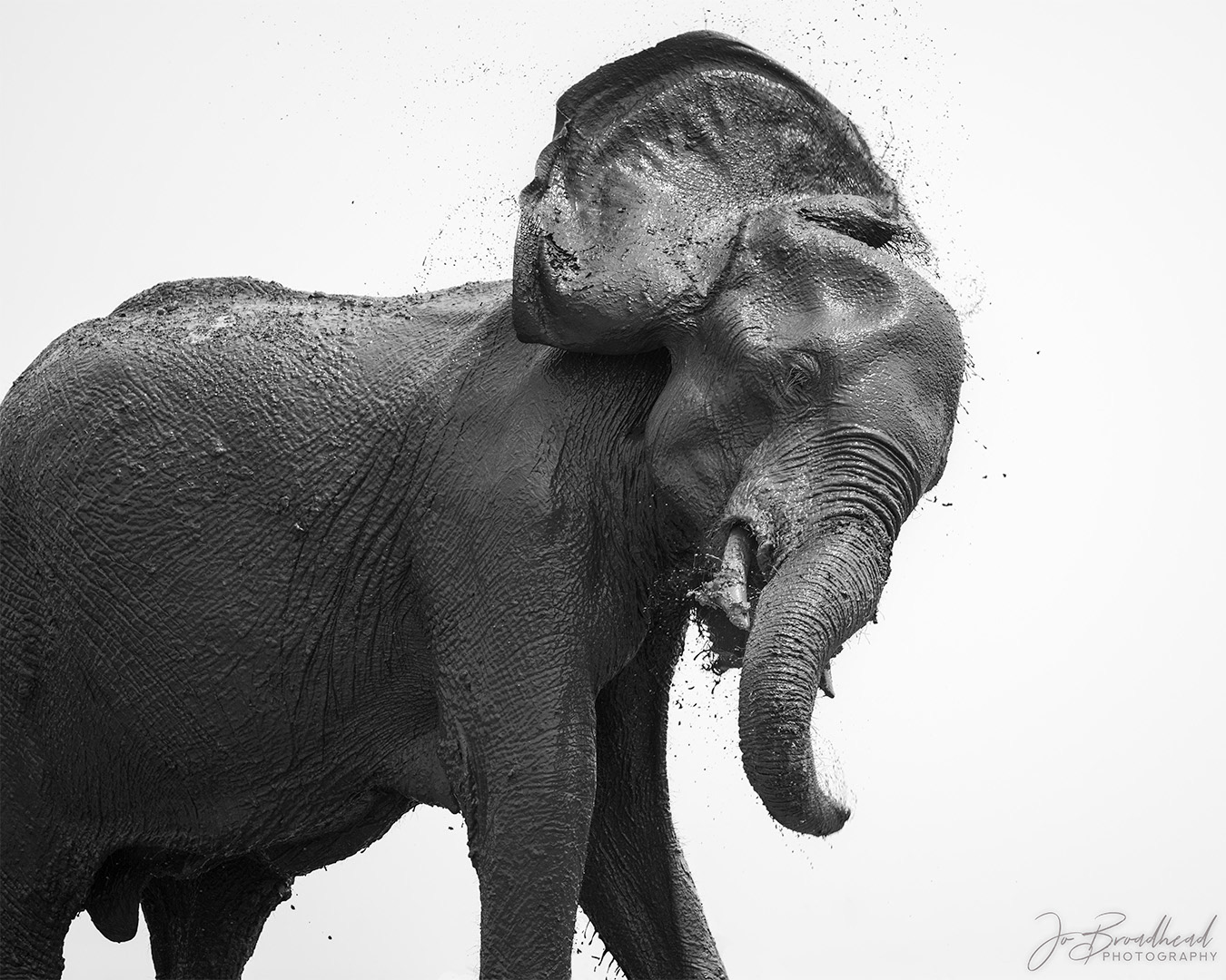 The Joy of Mud