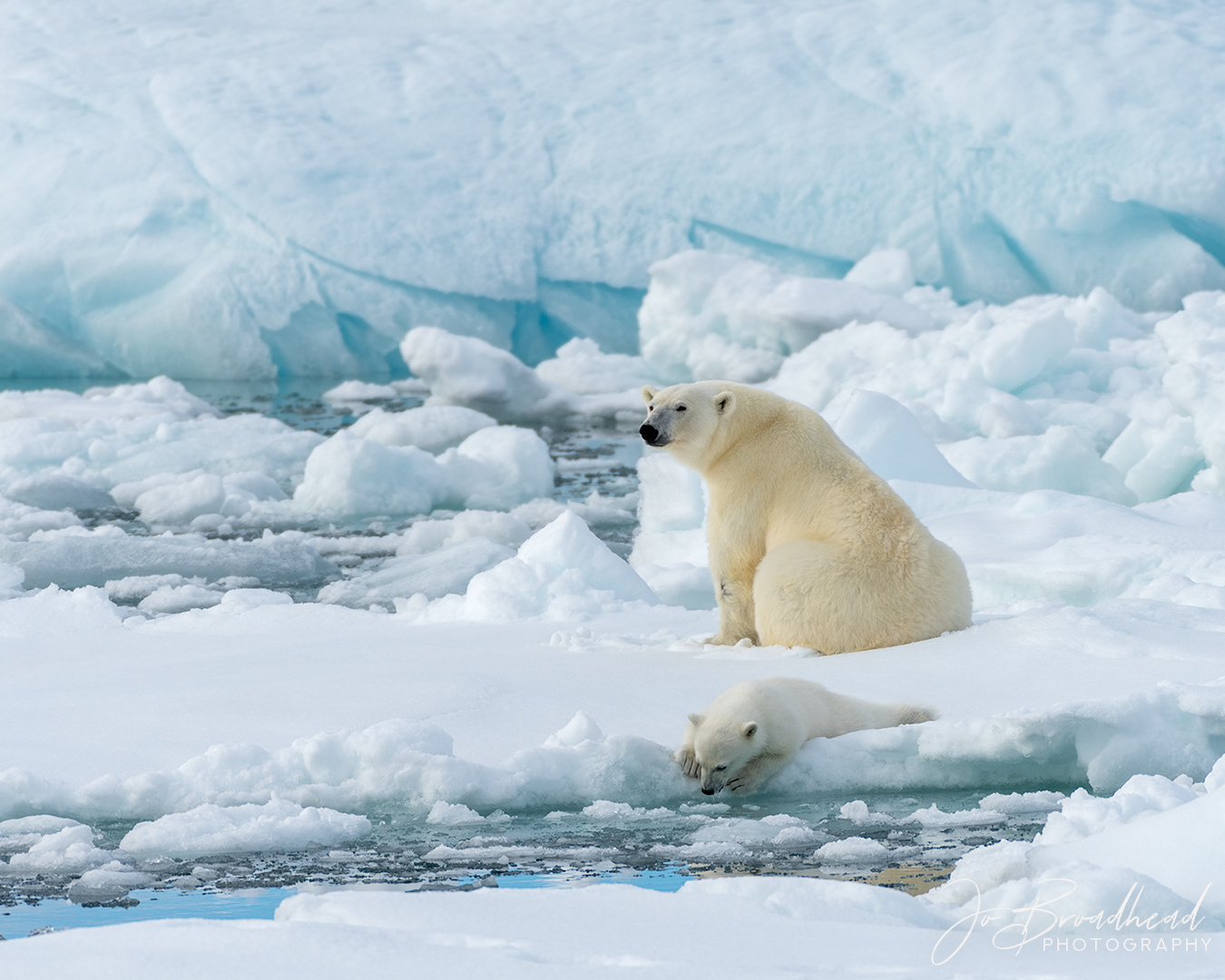 What's down there? - Svalbard