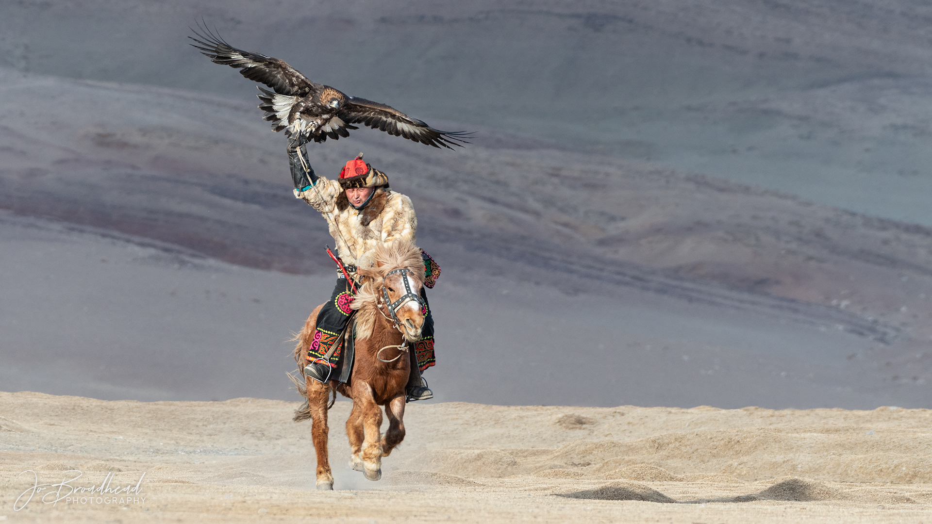 Teamwork - Mongolia