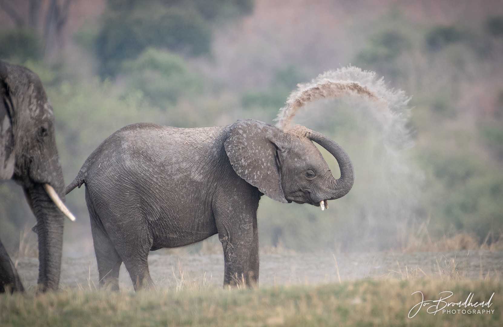 Playing with Dust - Botswana