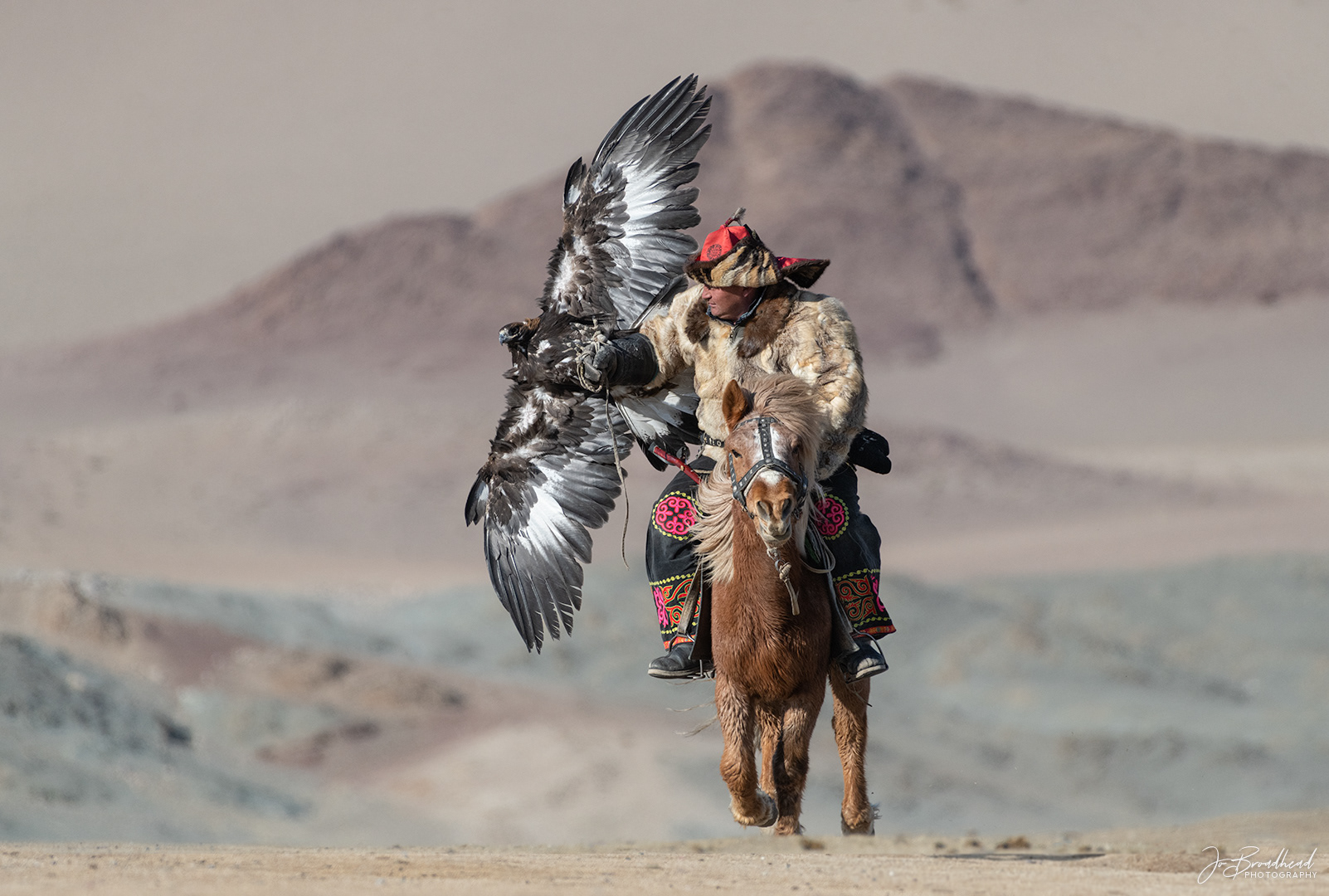 Courageous - Mongolia