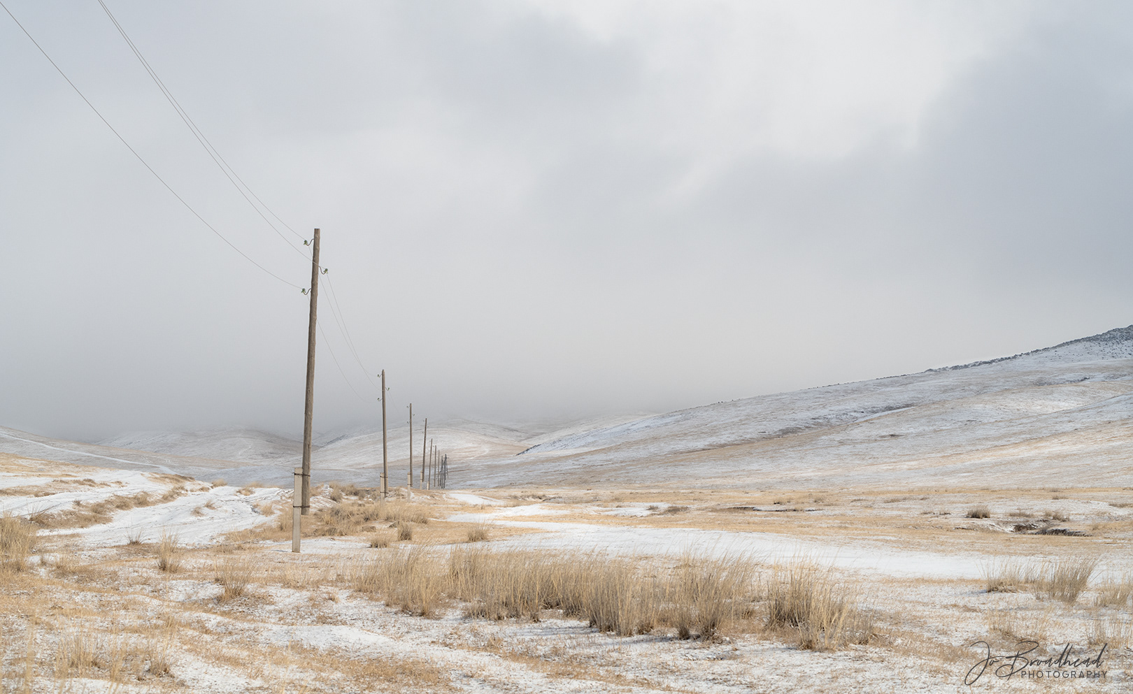 The Lonely Line - Hustai NP, Mongolia