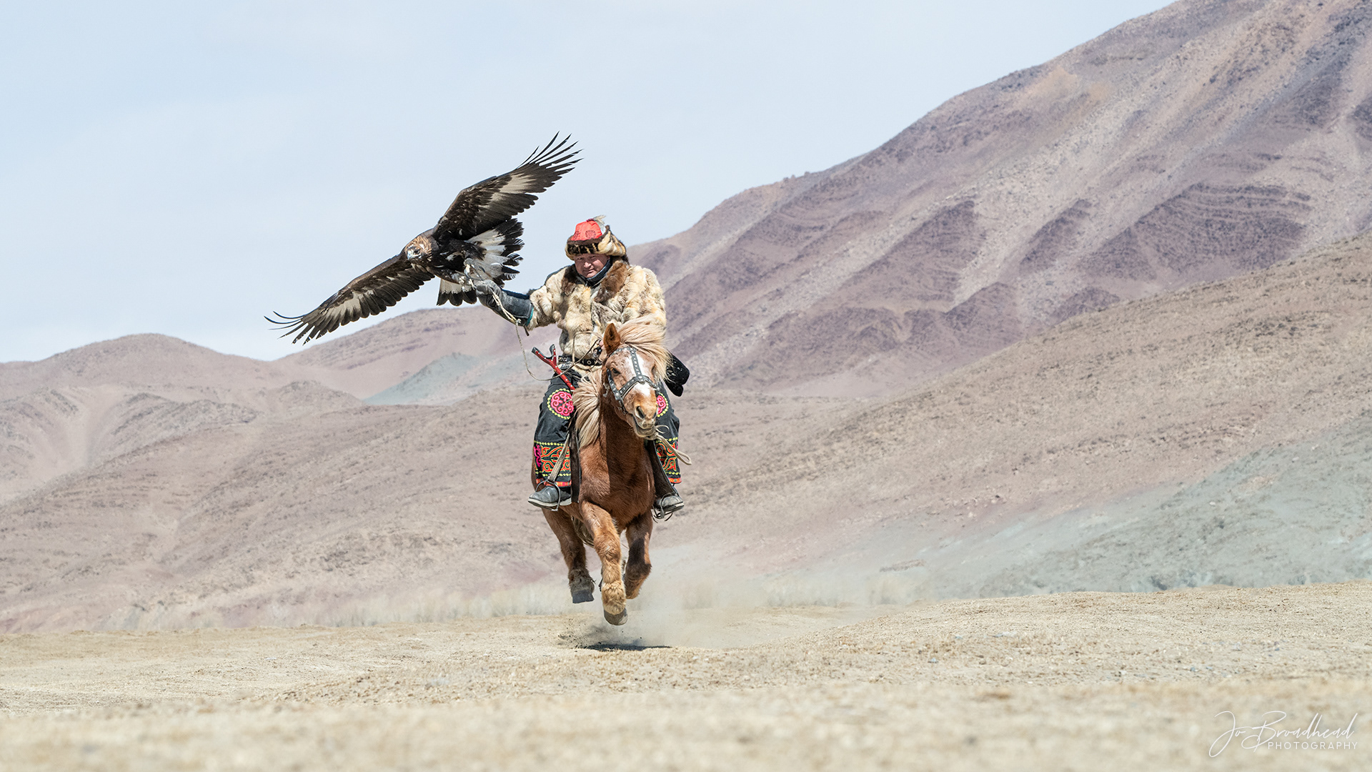 Four Feet off the Ground & Flying - Mongolia