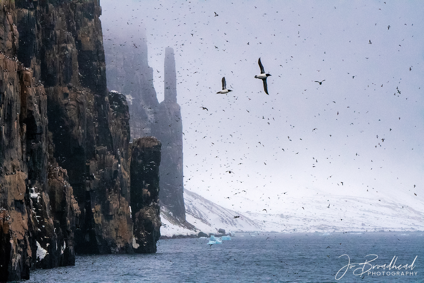 Flight Path - Svalbard