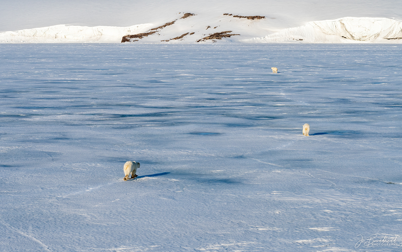 Moving On - Svalbard