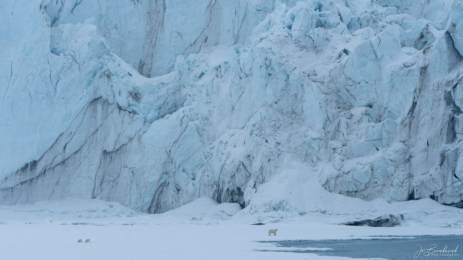 Big ice, small bears. - Svalbard