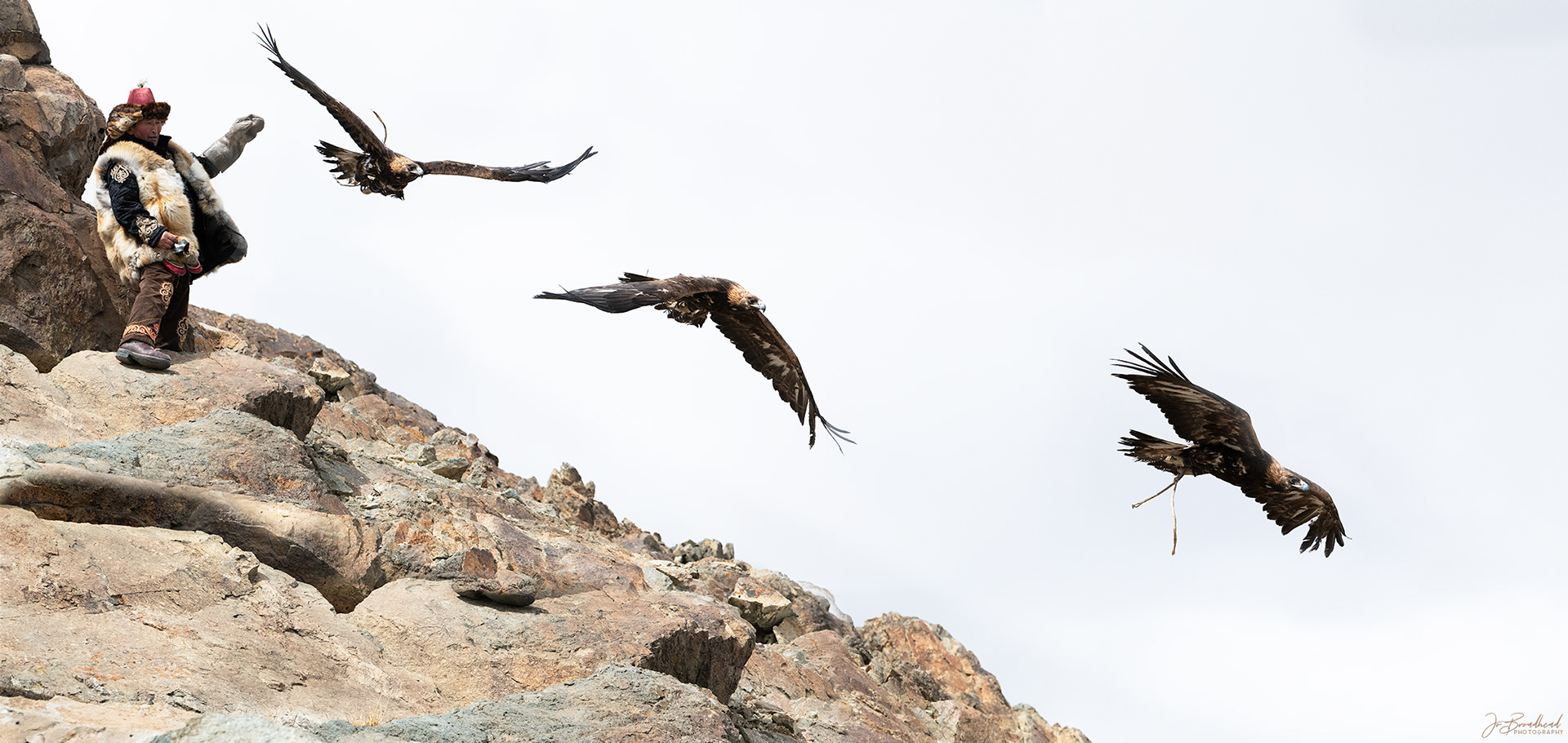 Released from the Mountains - Mongolia