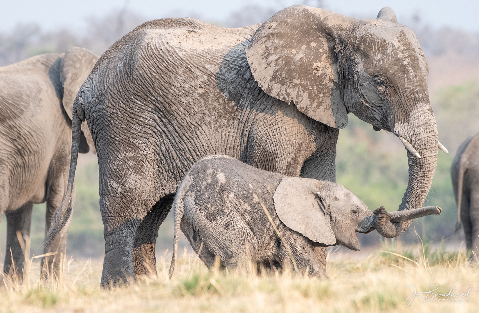 Playing - Botswana