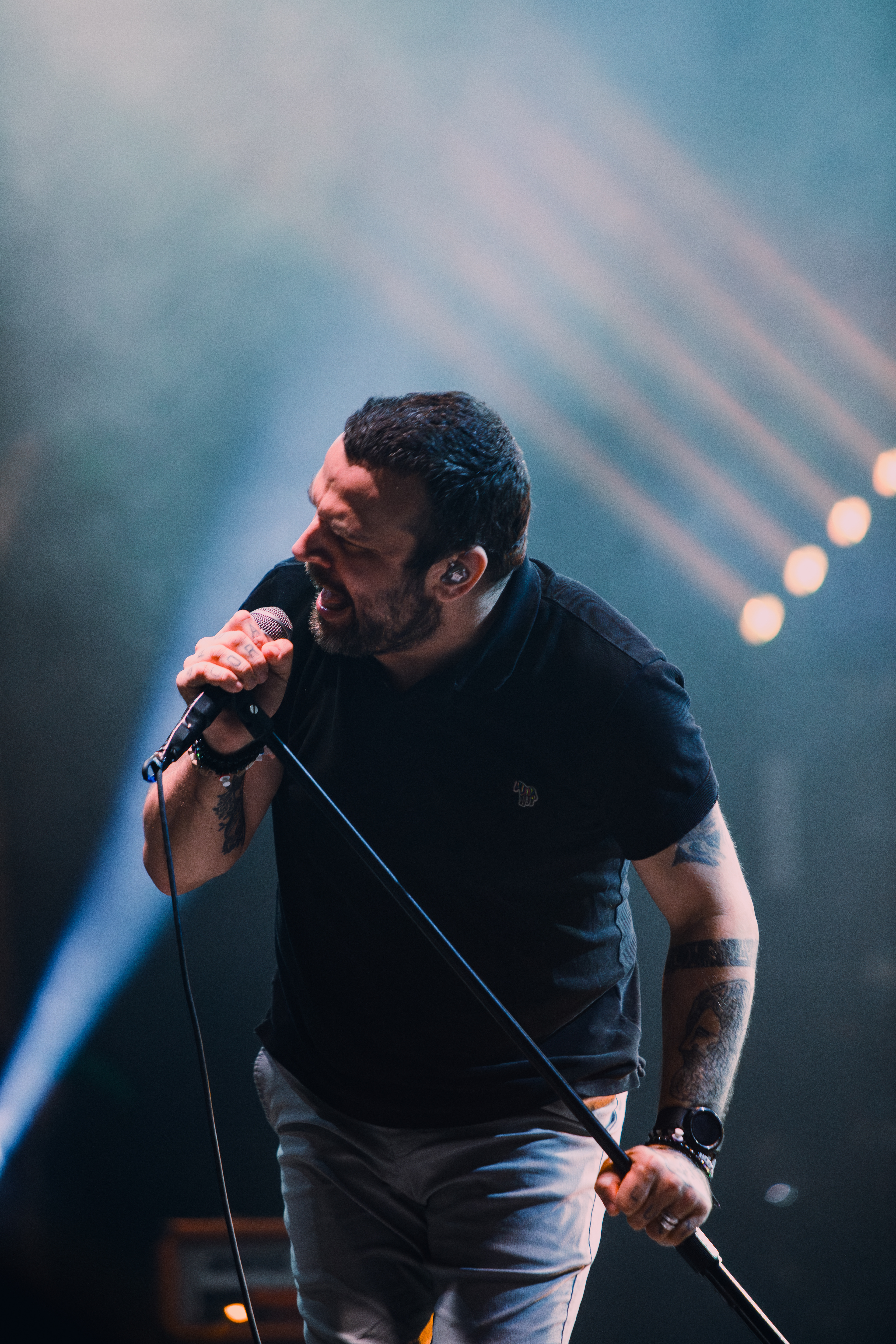 Say Anything, 2024
