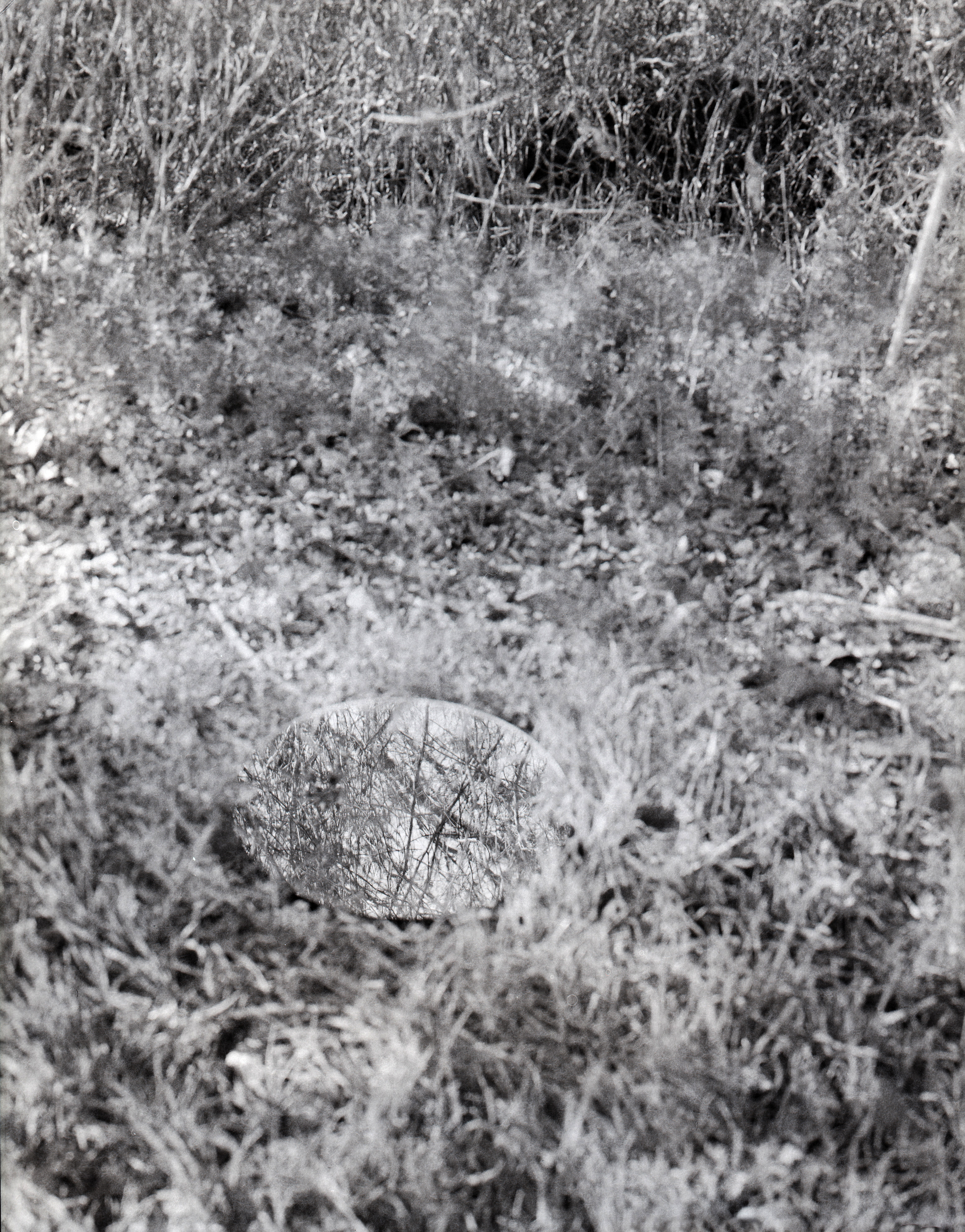 4x5 film