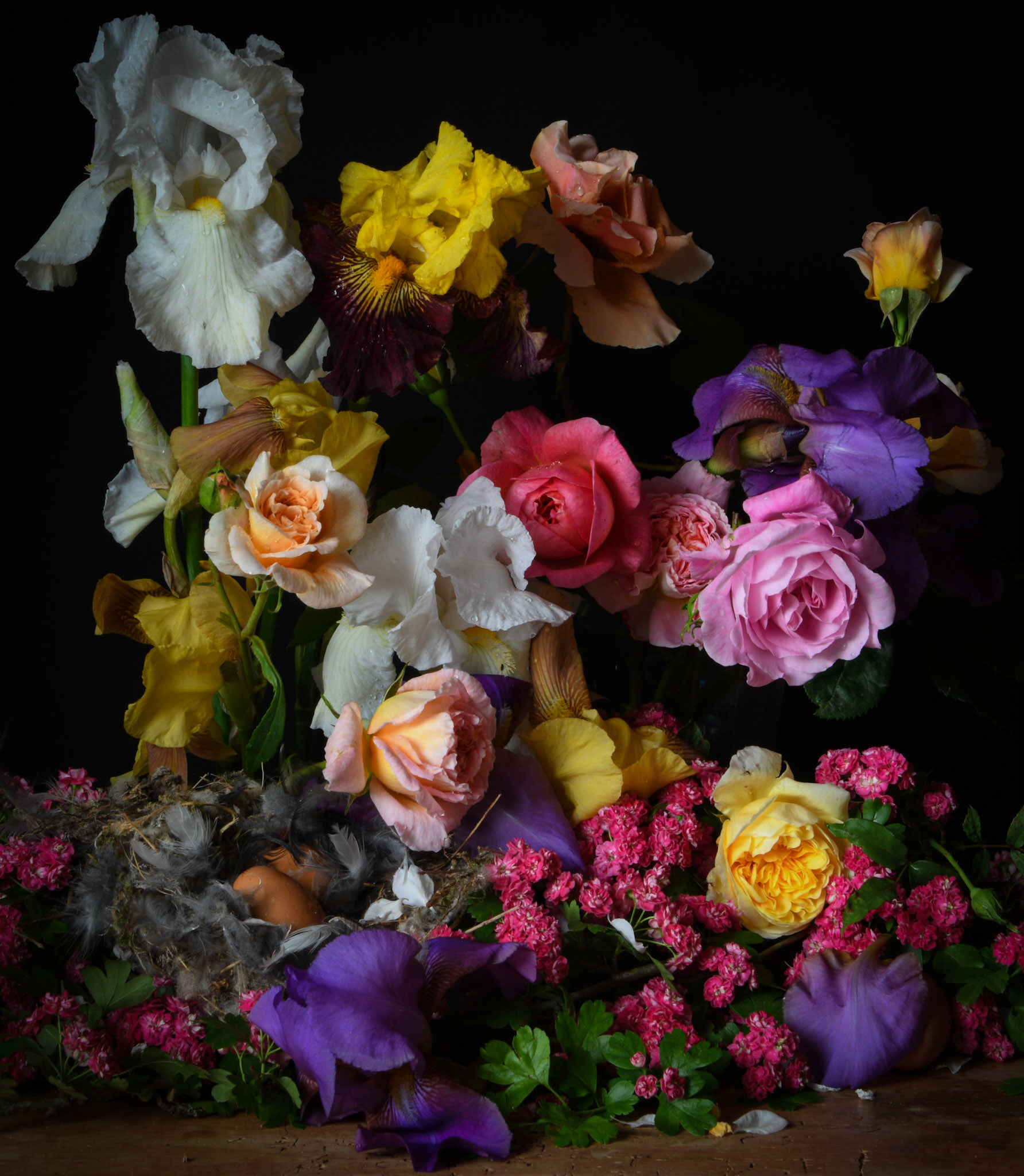 Still Life with Iris