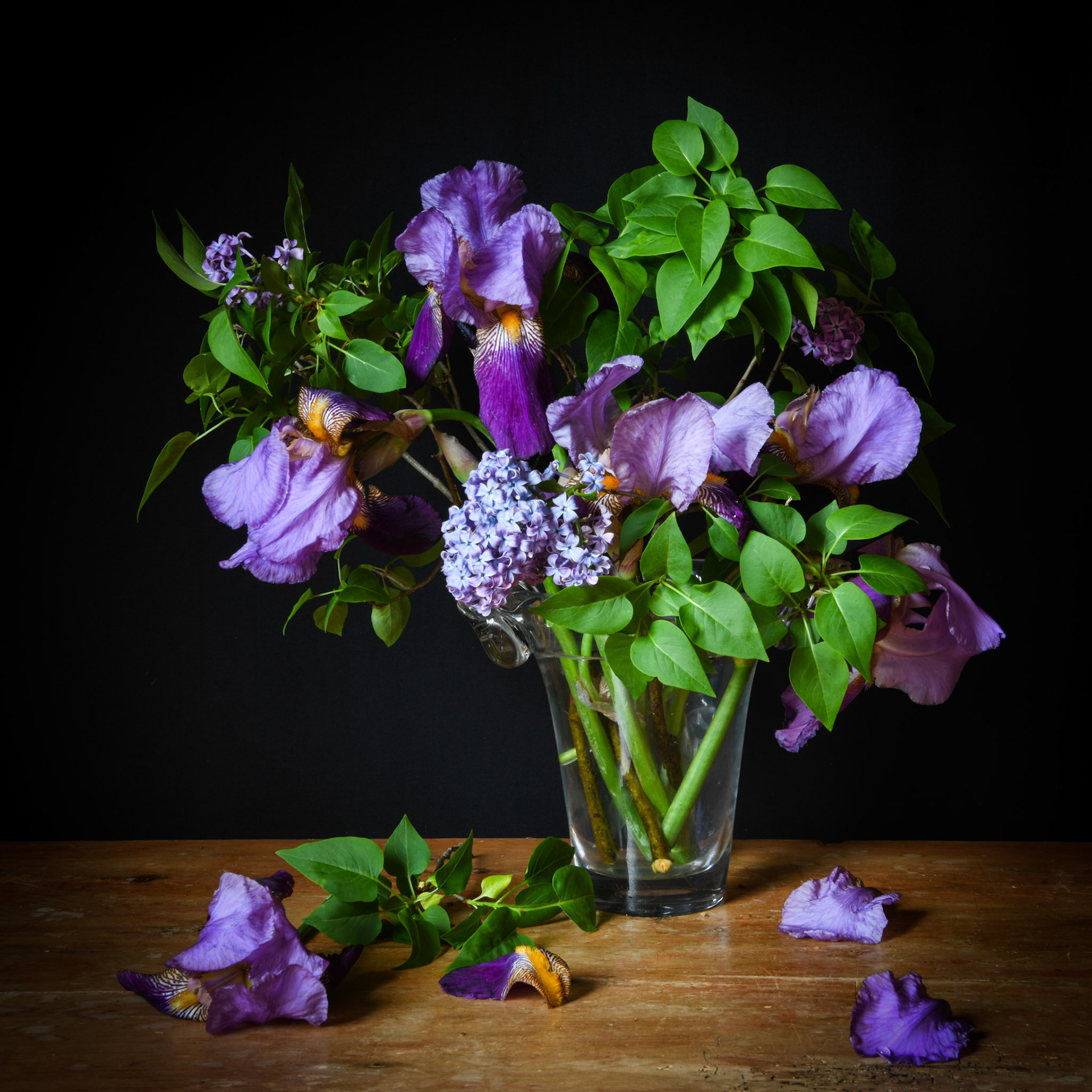 Still Life with Lilac