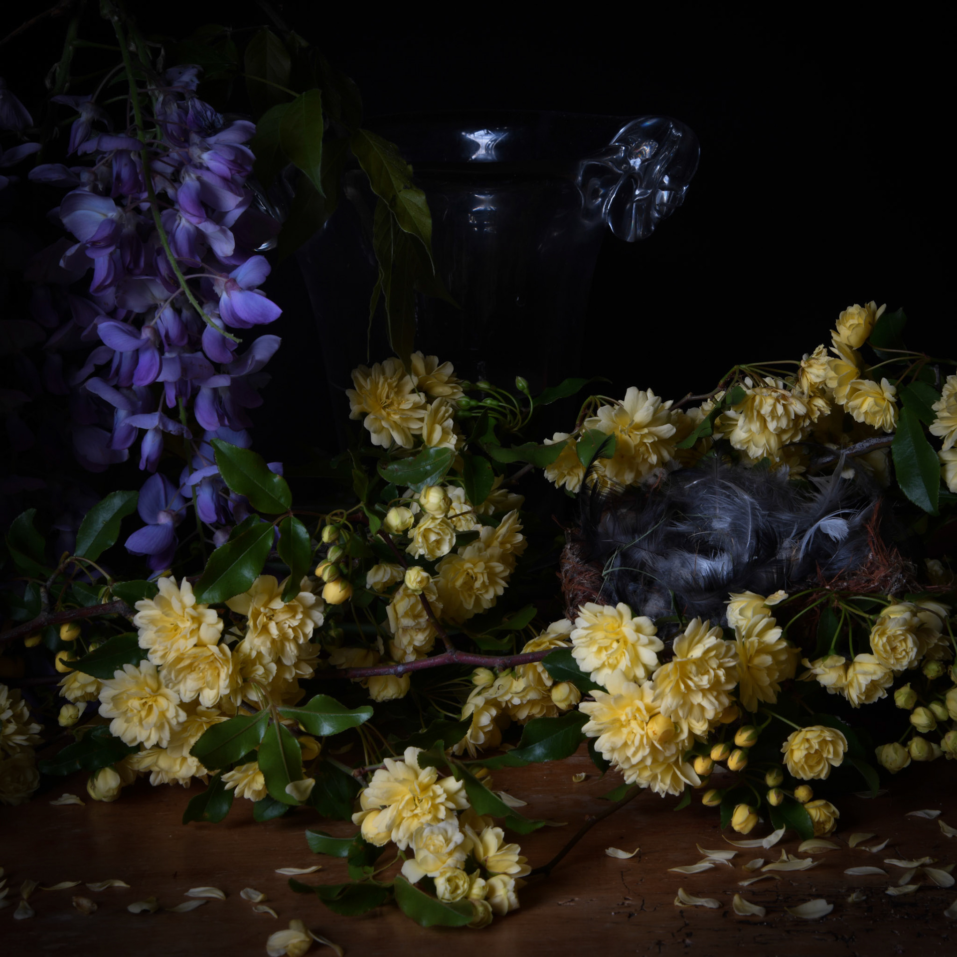 Still Life with Nest