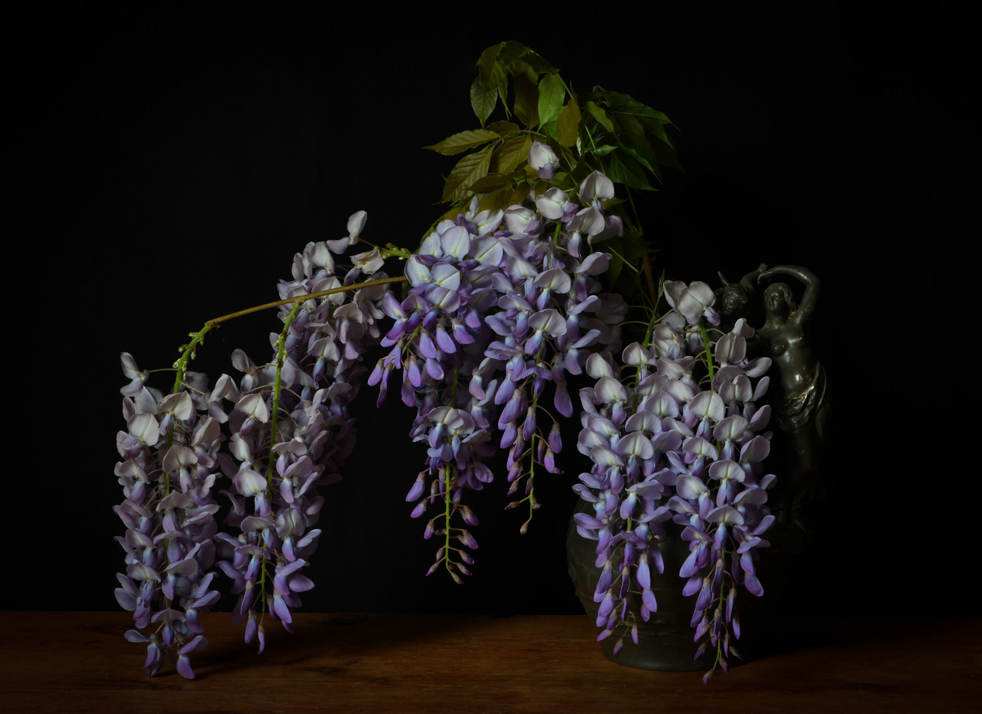 Wisteria I