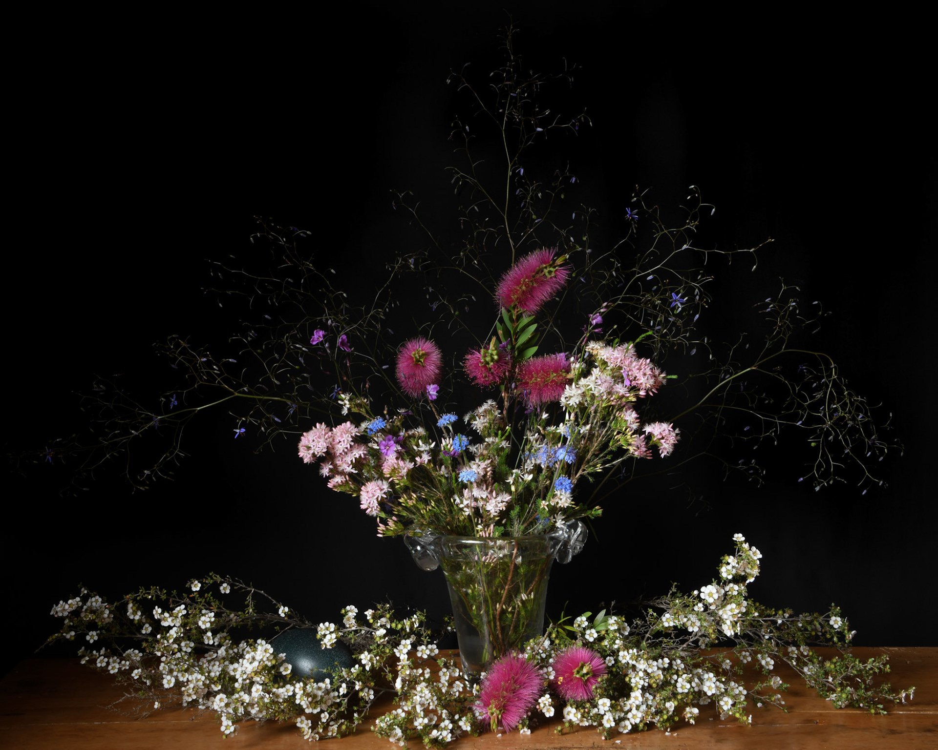 Still Life with Emu Egg