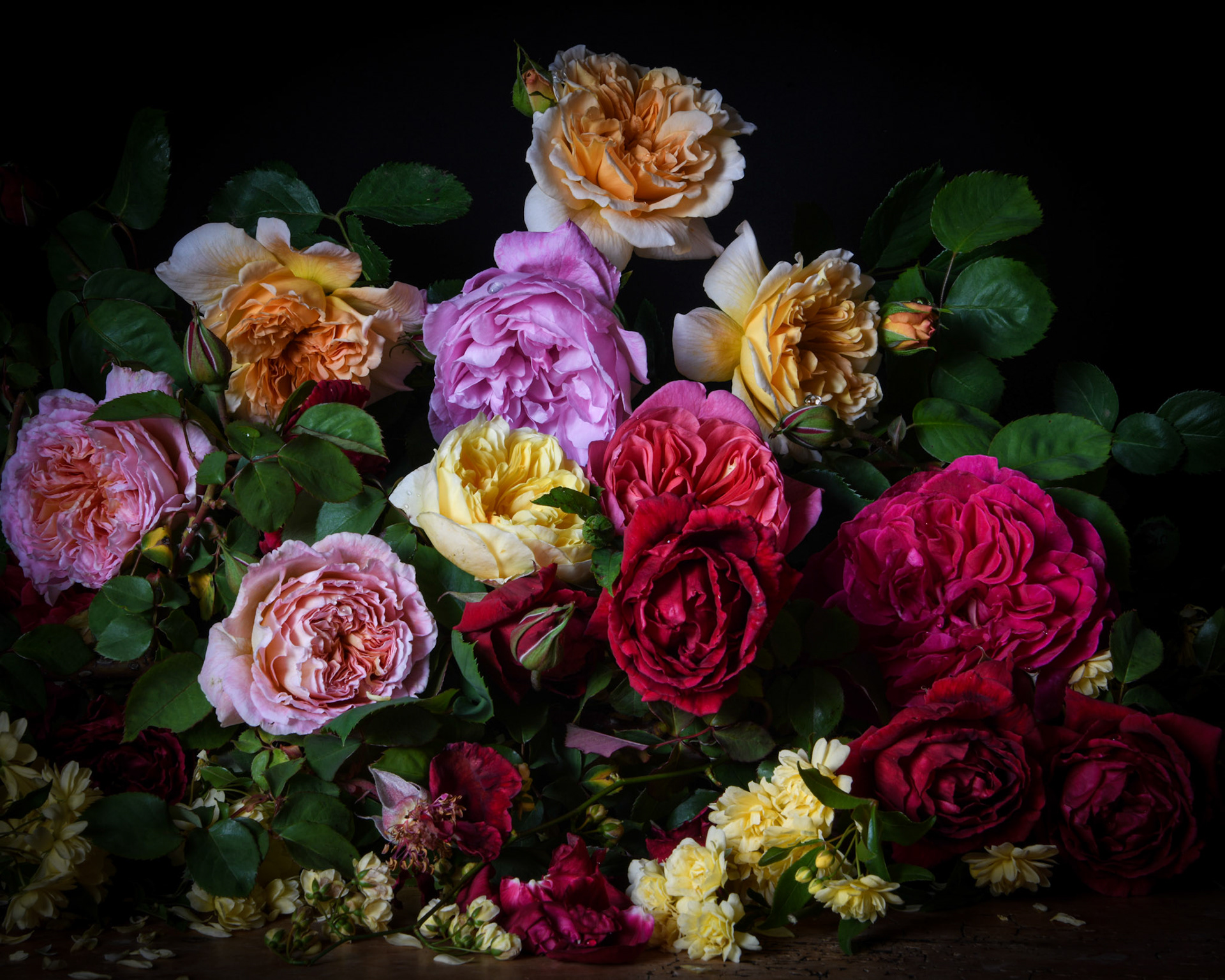Abundance I