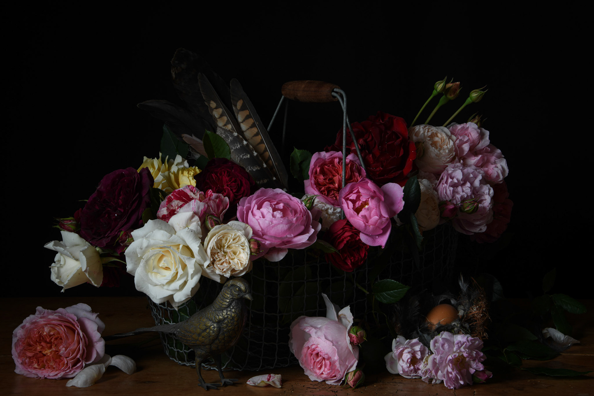 Abundance II