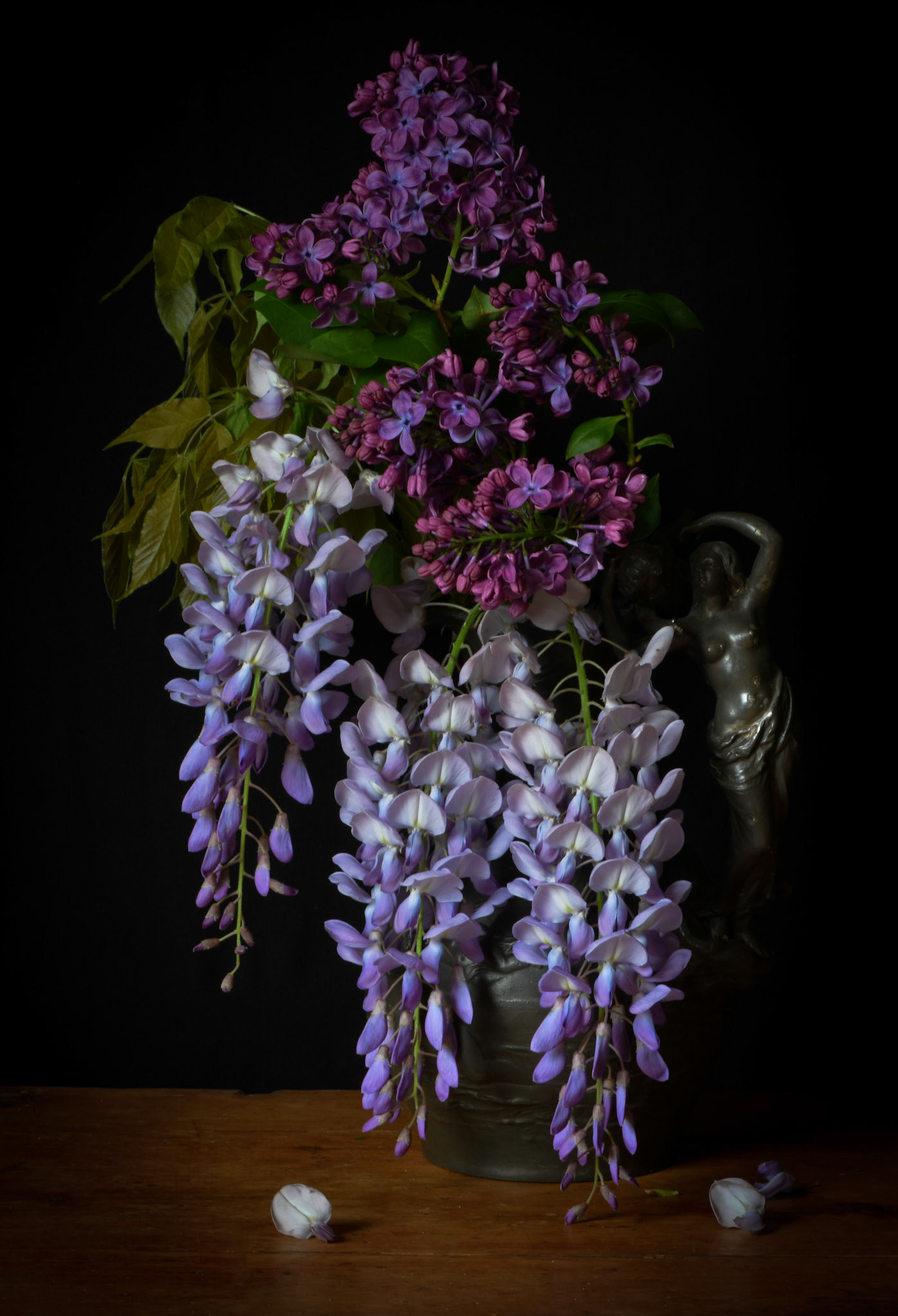 Wisteria II