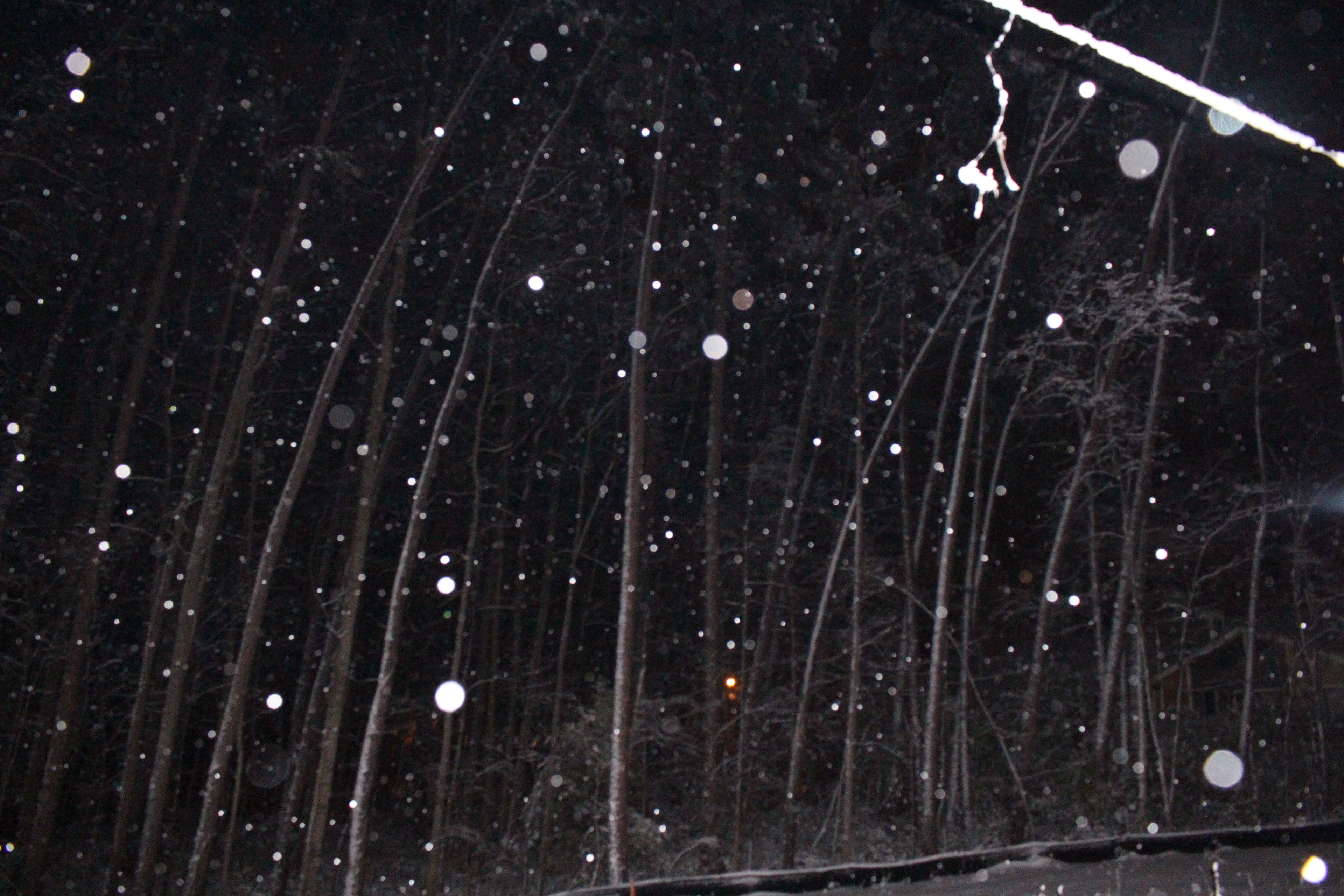 nighttime snowfall