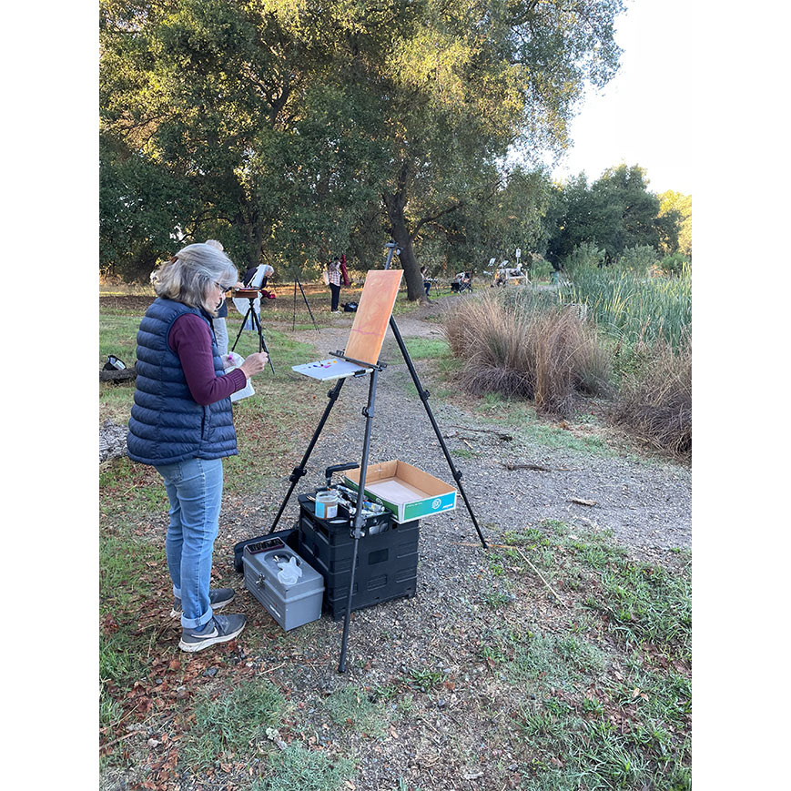 Turtle Pond at Sailor Bar