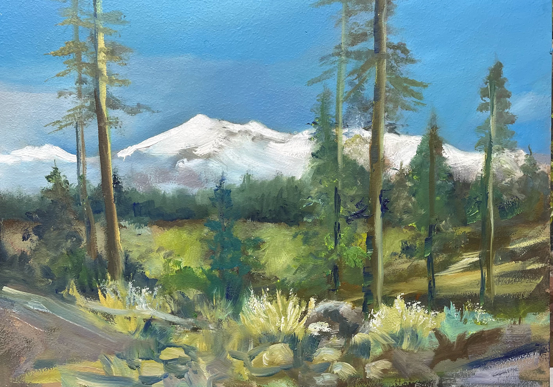 Linda Akers - Original Oil Painting