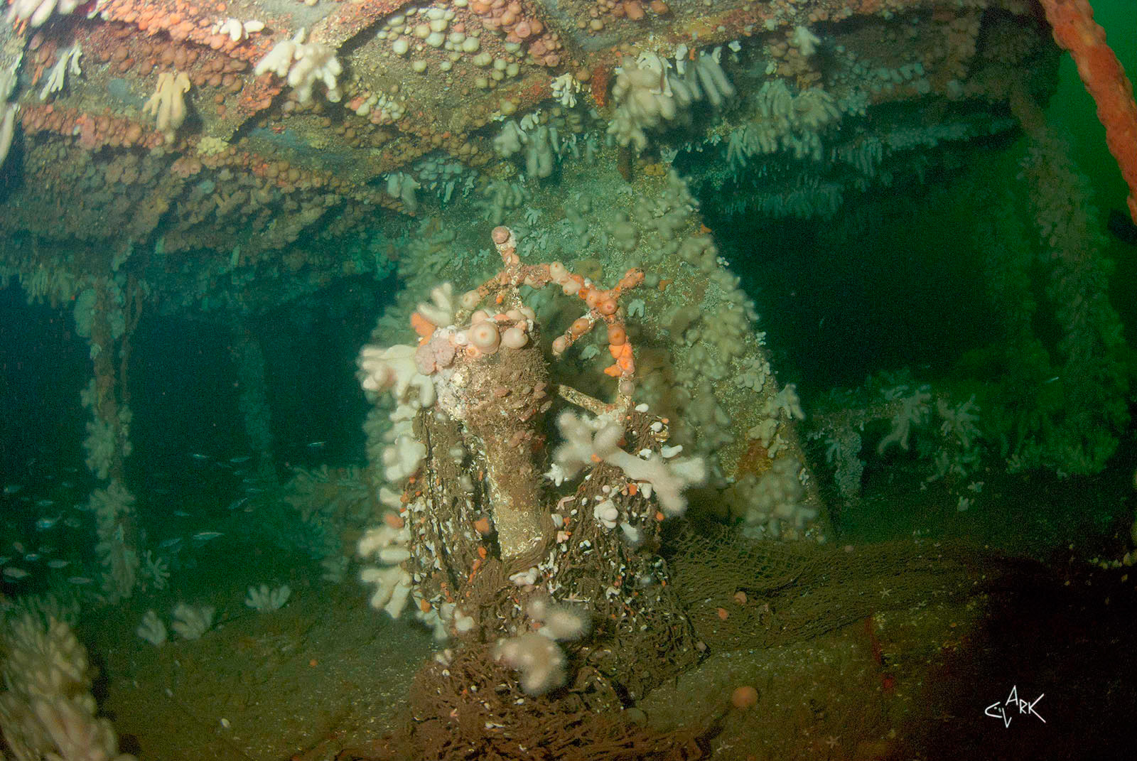 WHEEL OF EXMOUTH SHIPWRECK