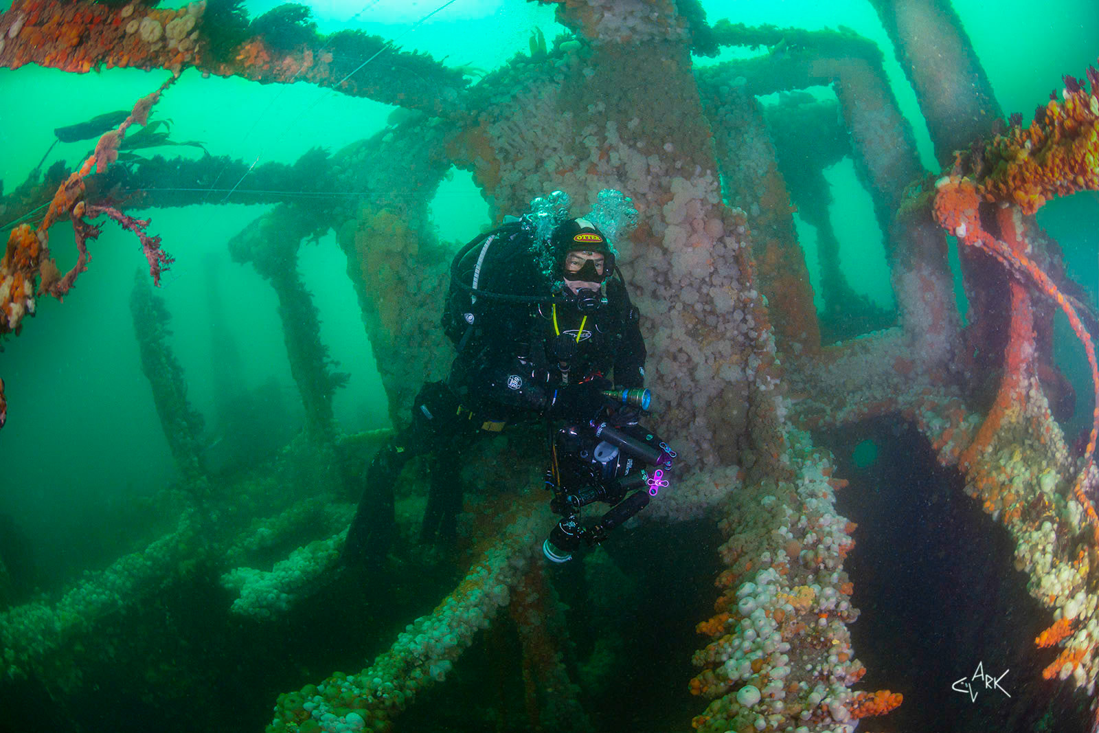 DIVER IN BRIDGE OF HISPANIA
