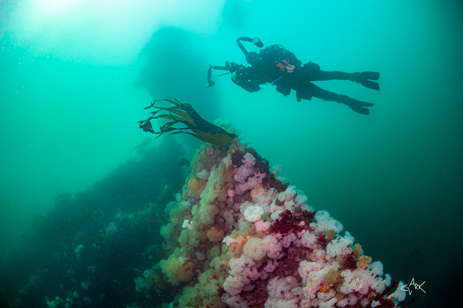 DIVER ON RHONDO SHIPWRECK