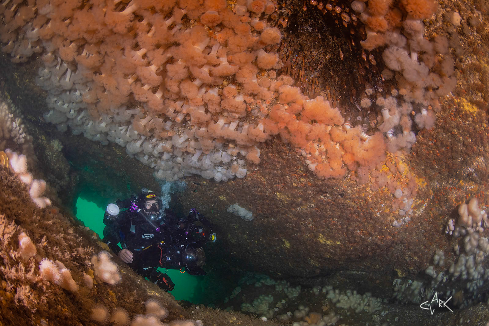 DIVER IN CATHEDRAL ROCK ARCH