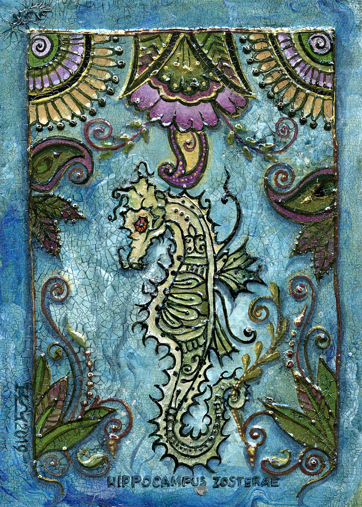 Dwarf Sea Horse