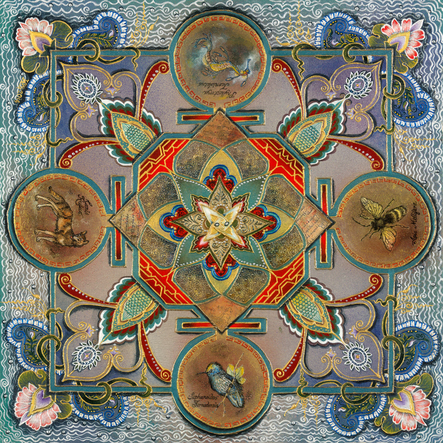 ENDANGERED MANDALA